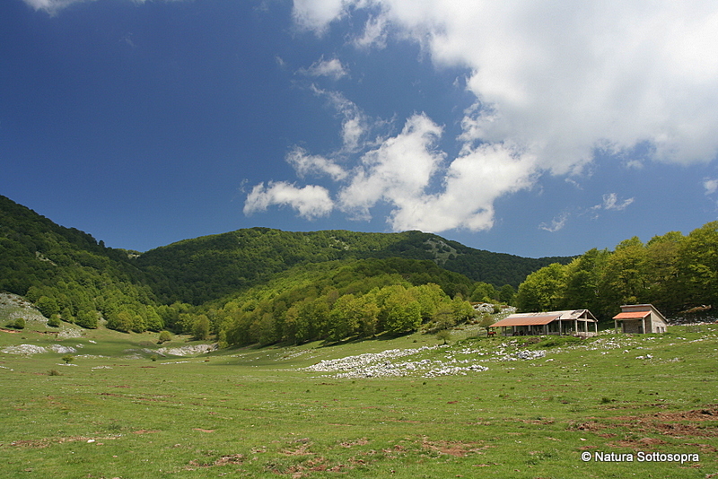 Monte Janara